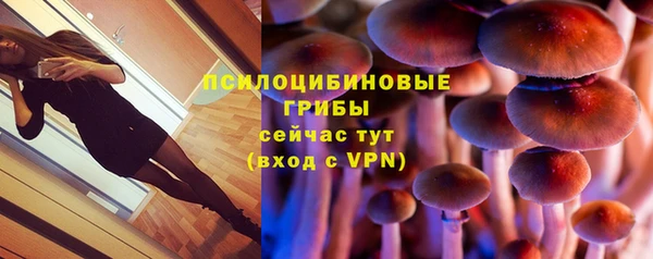 индика Балахна