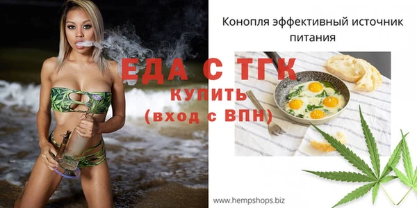 индика Балахна