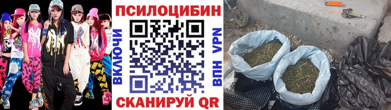 Галлюциногенные грибы MAGIC MUSHROOMS  Краснотурьинск 